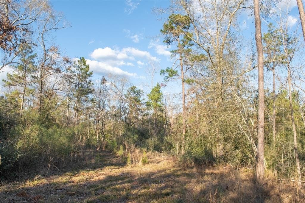 70 acres in Polk County - photo 22
