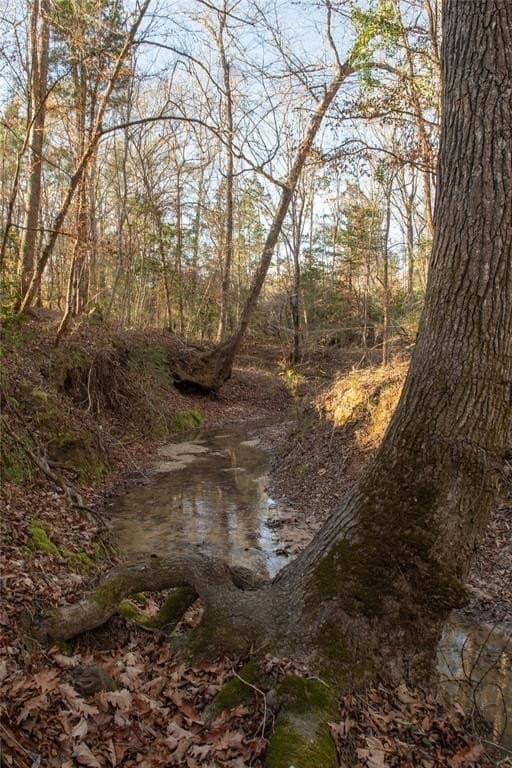 70 acres in Polk County - photo 25