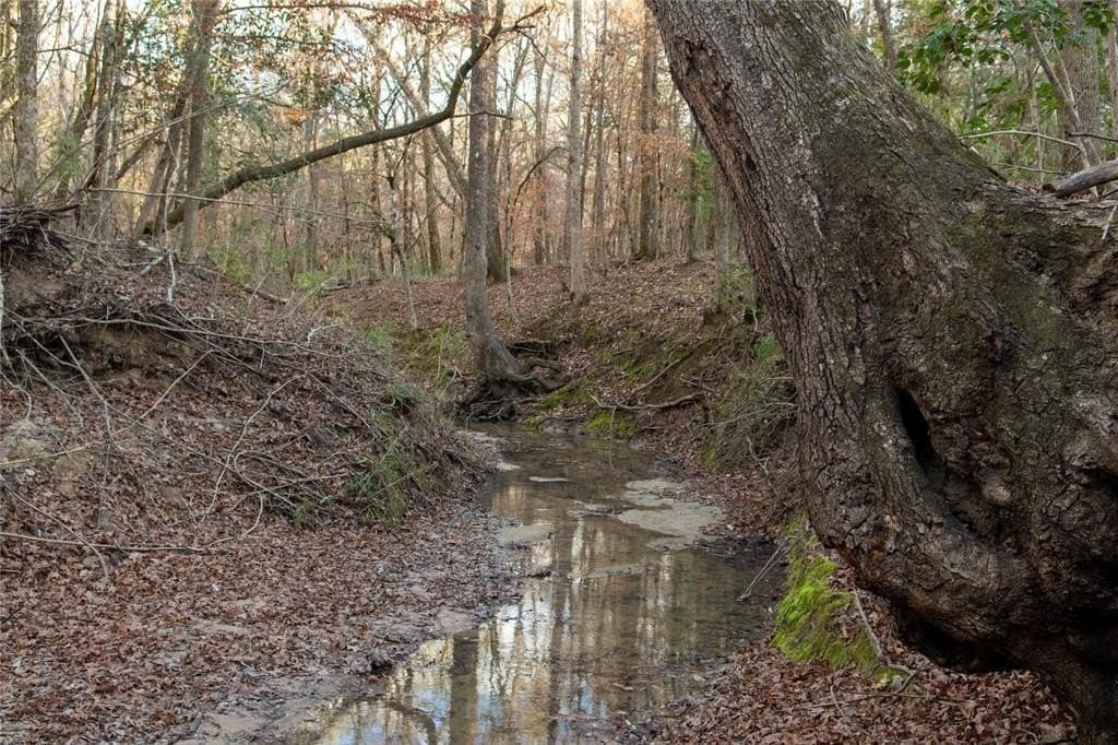 70 acres in Polk County - photo 28