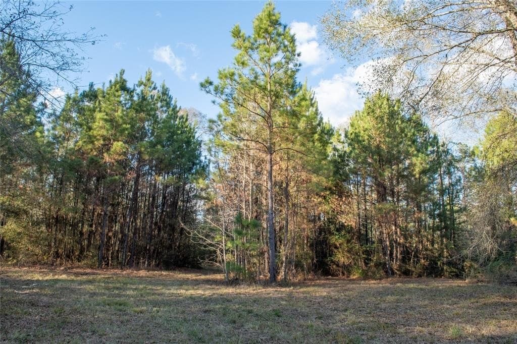 70 acres in Polk County - photo 17