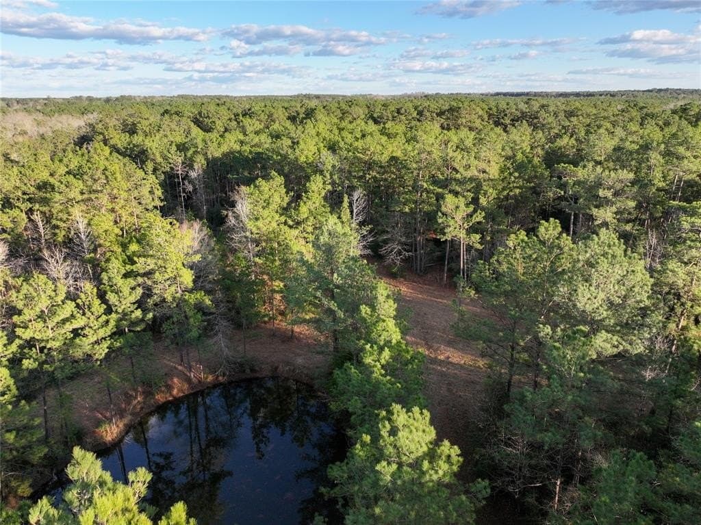70 acres in Polk County - photo 27