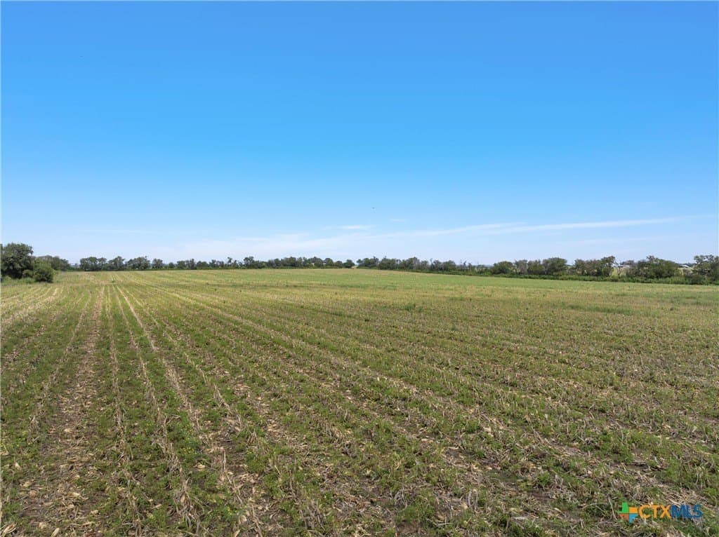 106.49 acres in McLennan County - photo 5