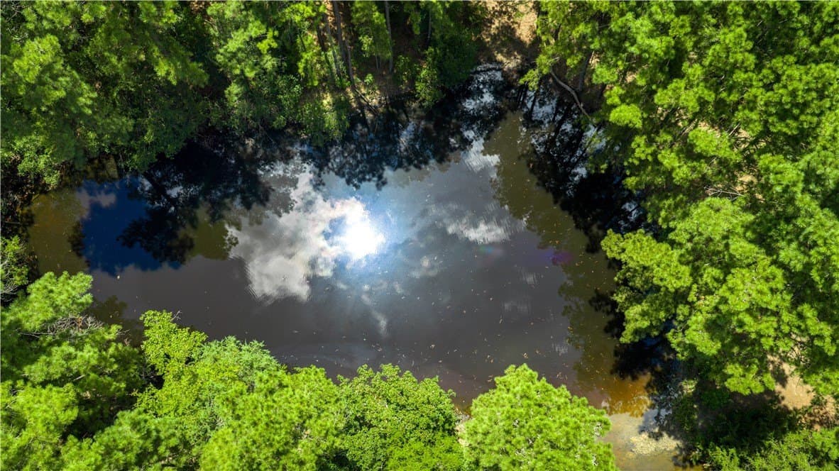 22.89 acres in Madison County - photo 5