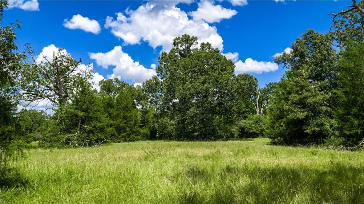22.89 acres in Madison County - photo 10