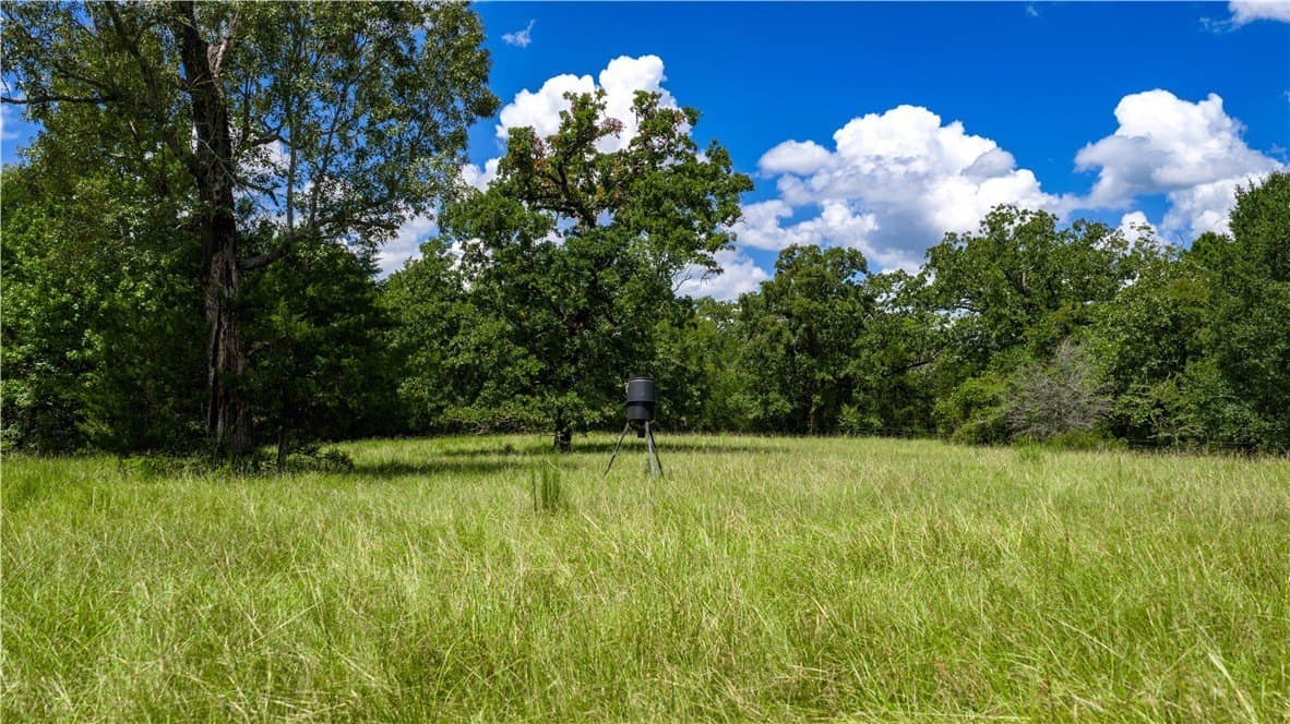 22.89 acres in Madison County - photo 11