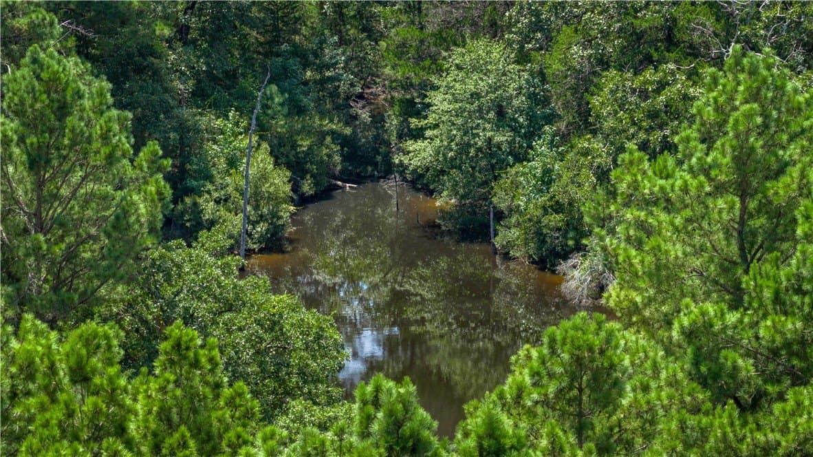 22.89 acres in Madison County - photo 6