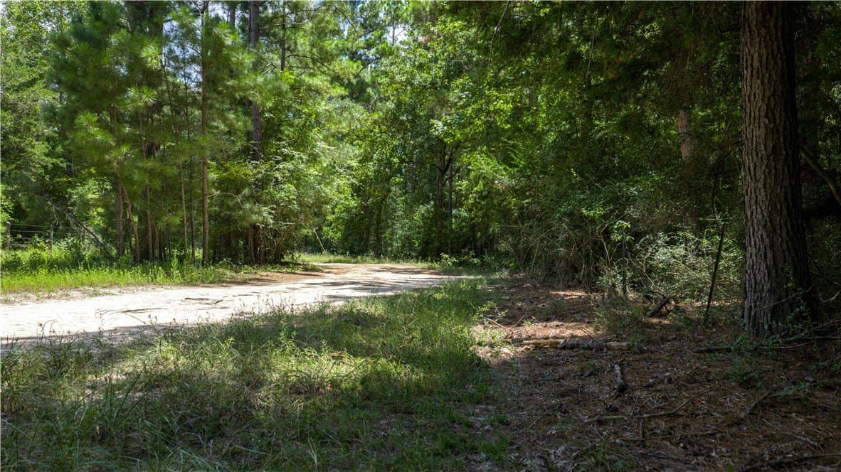 22.89 acres in Madison County - photo 3