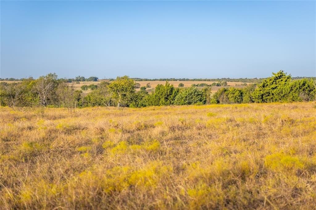 279 acres in Johnson County - photo 16
