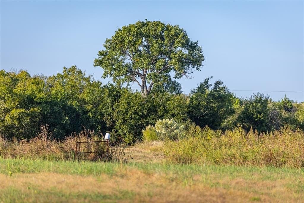 279 acres in Johnson County - photo 8