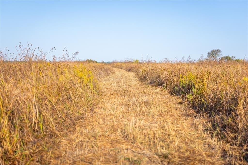 279 acres in Johnson County - photo 11