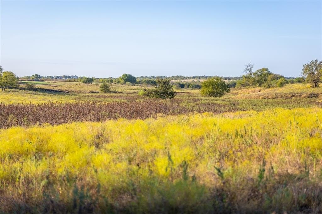279 acres in Johnson County - photo 12