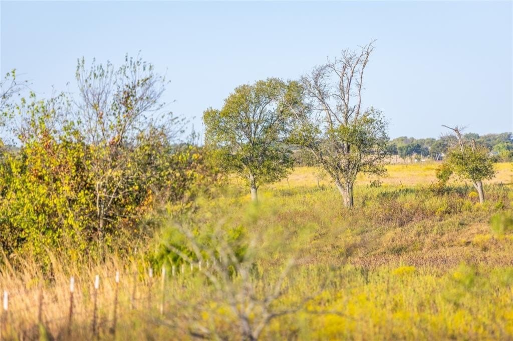279 acres in Johnson County - photo 9