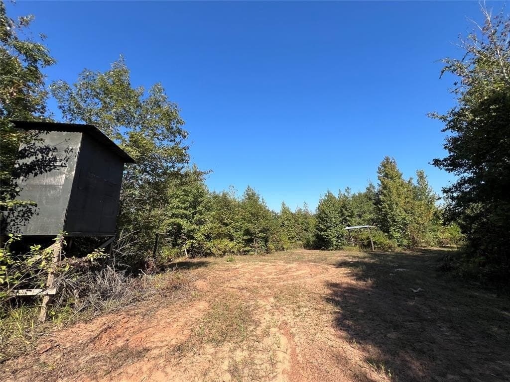 84 acres in Cass County - photo 39