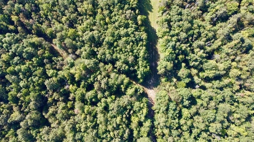 84 acres in Cass County - photo 37