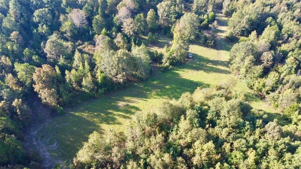84 acres in Cass County - photo 40