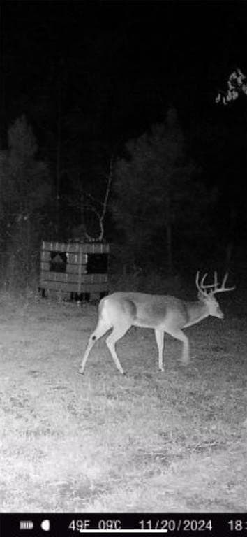 84 acres in Cass County - photo 36