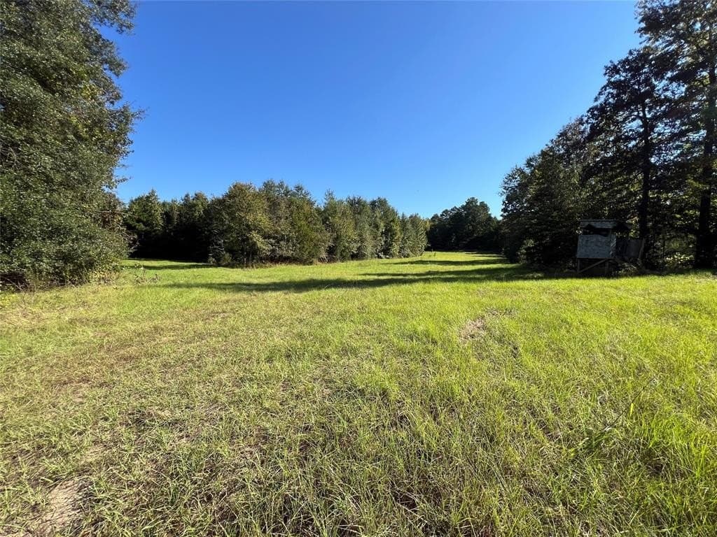 84 acres in Cass County - photo 31