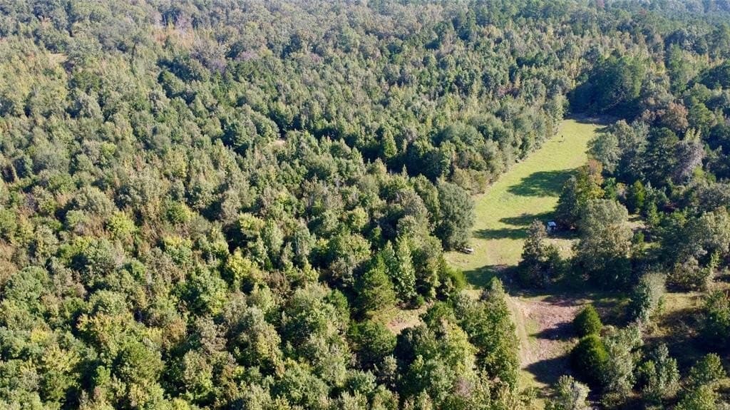 84 acres in Cass County - photo 38