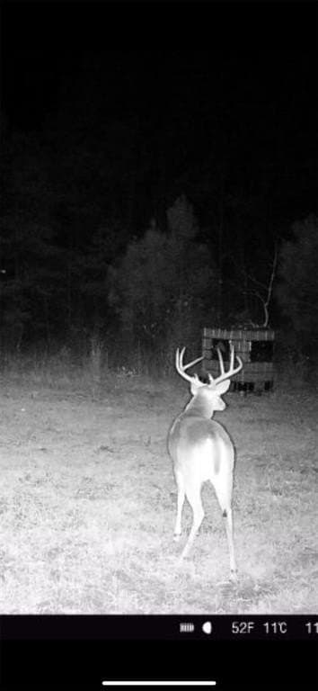 84 acres in Cass County - photo 35