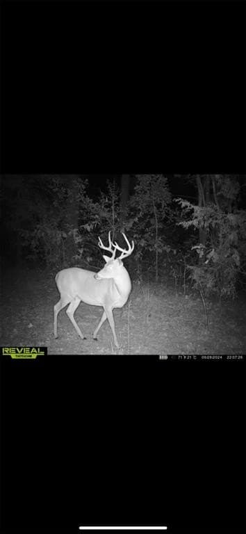 84 acres in Cass County - photo 33