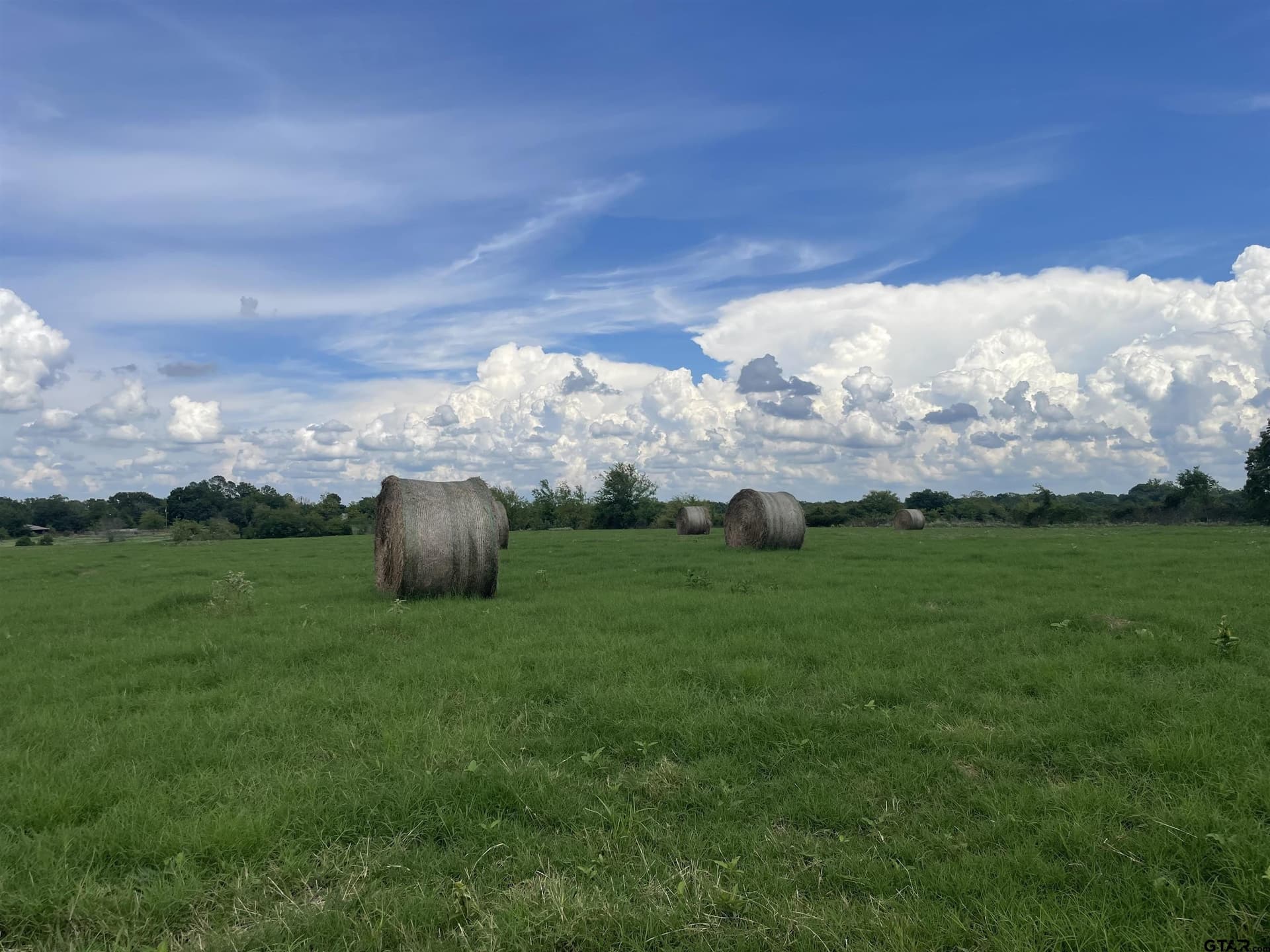 125 acres in Titus County - photo 3