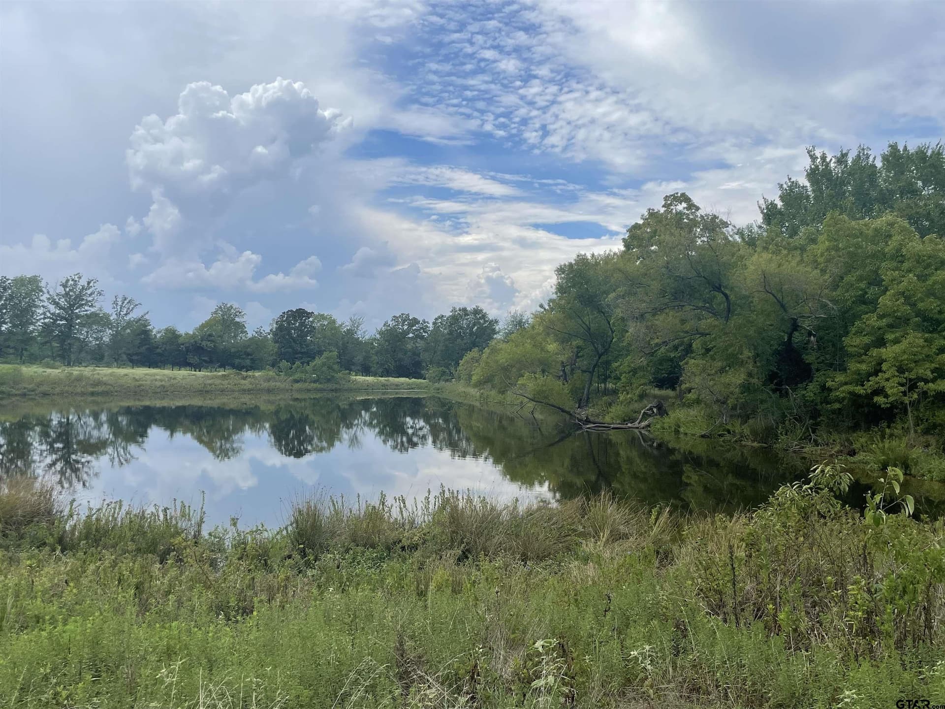 125 acres in Titus County - photo 5