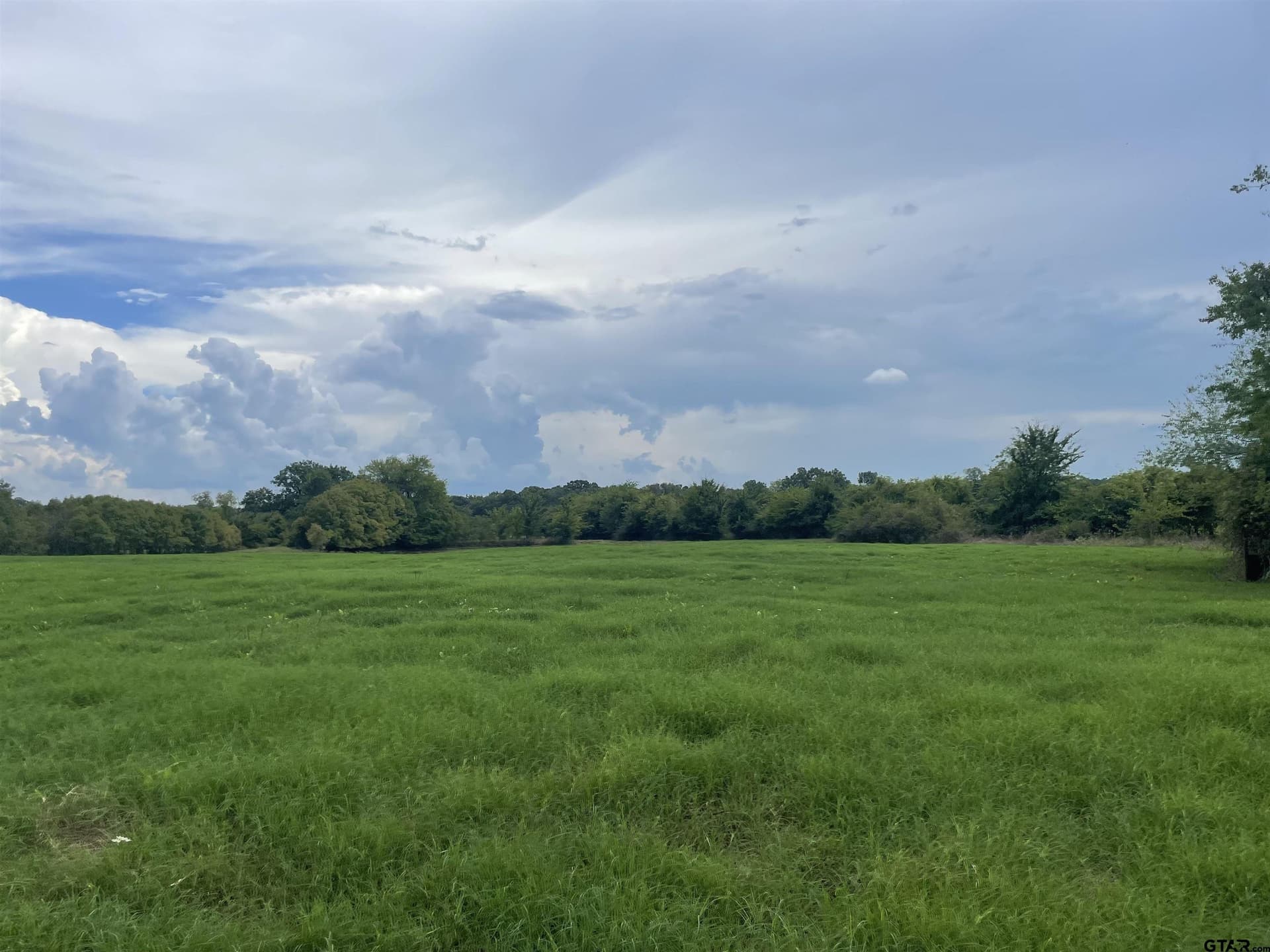 125 acres in Titus County - photo 6