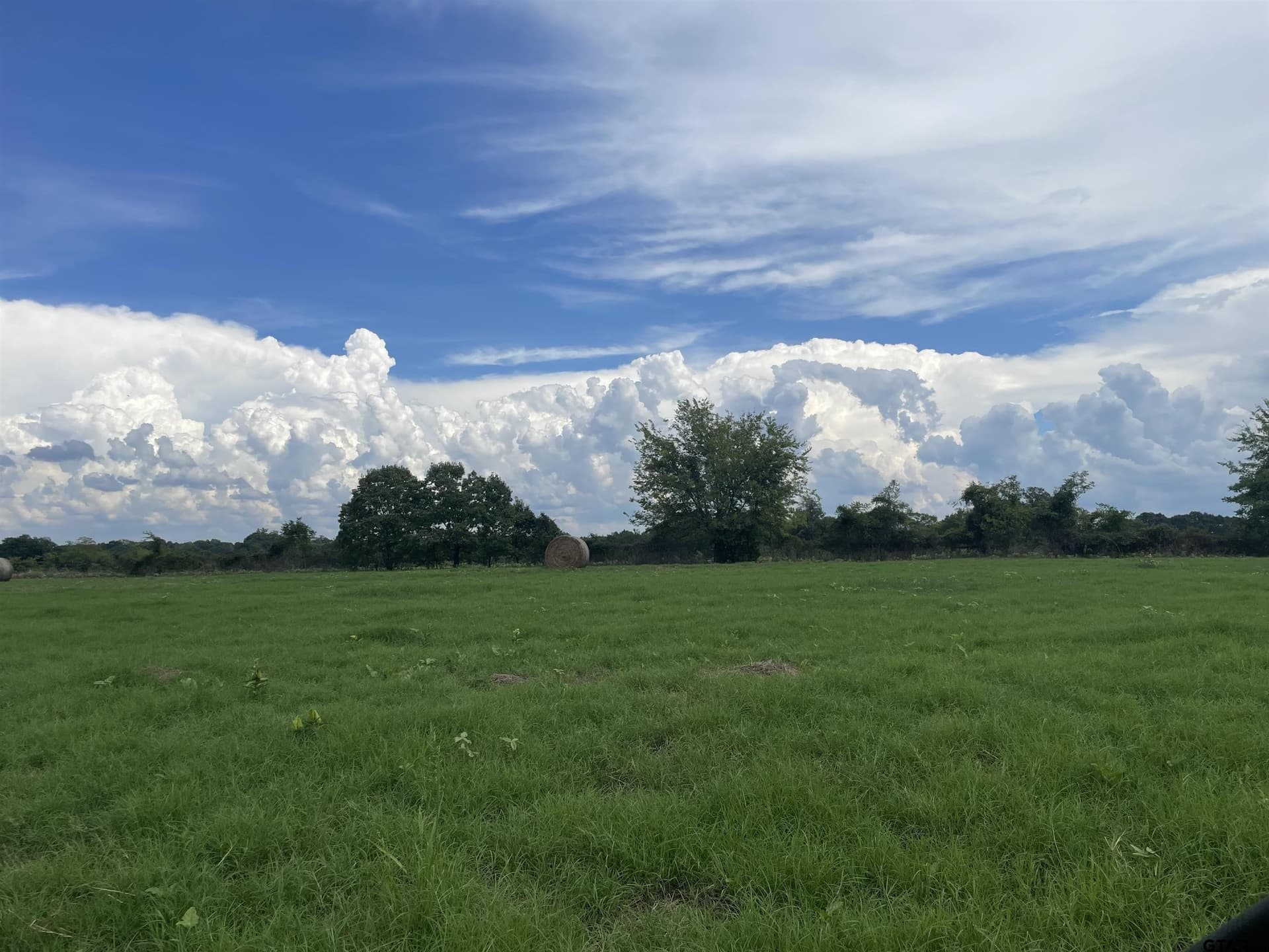 125 acres in Titus County - photo 4