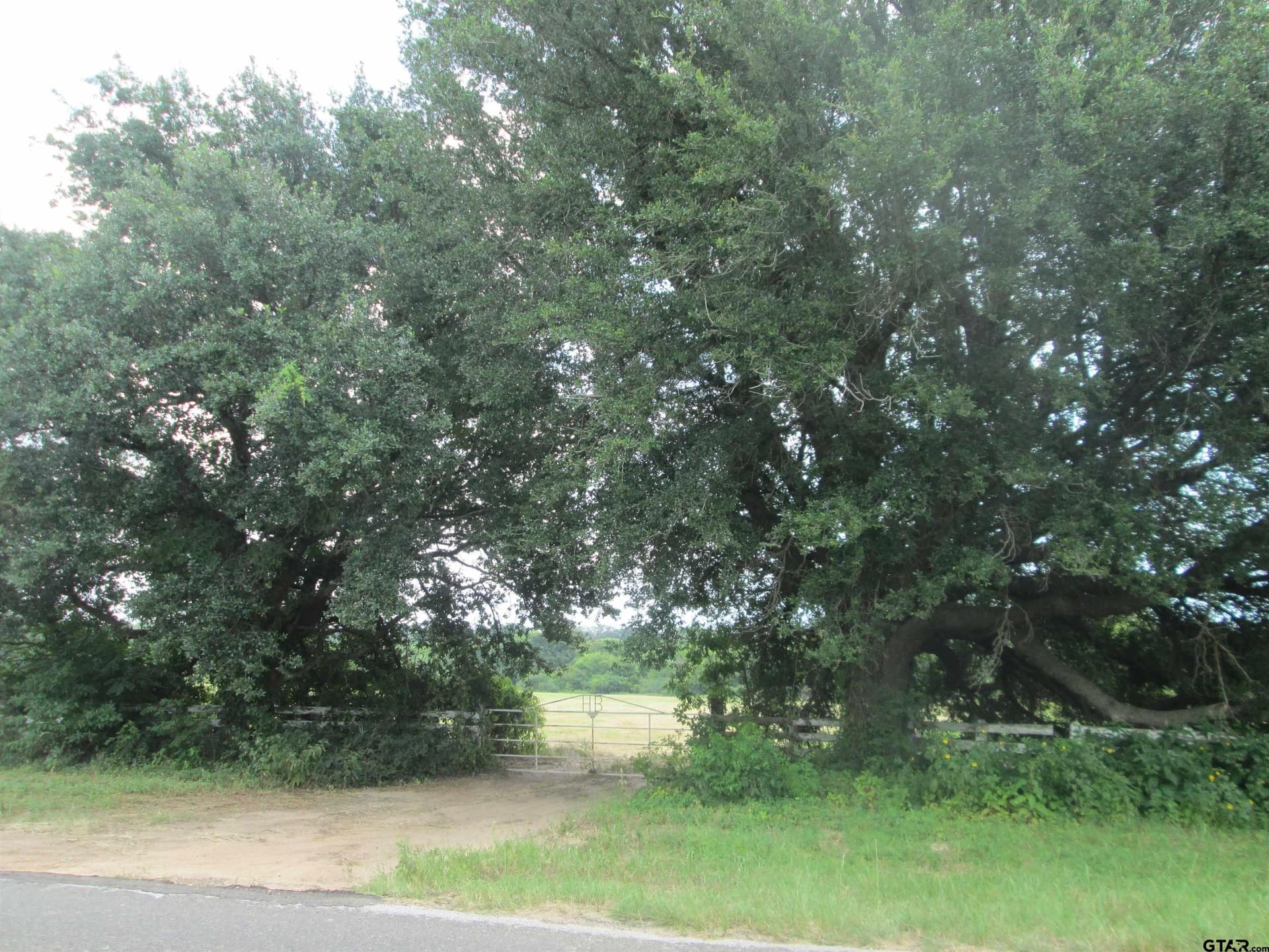 18.25 acres in Smith County - photo 9