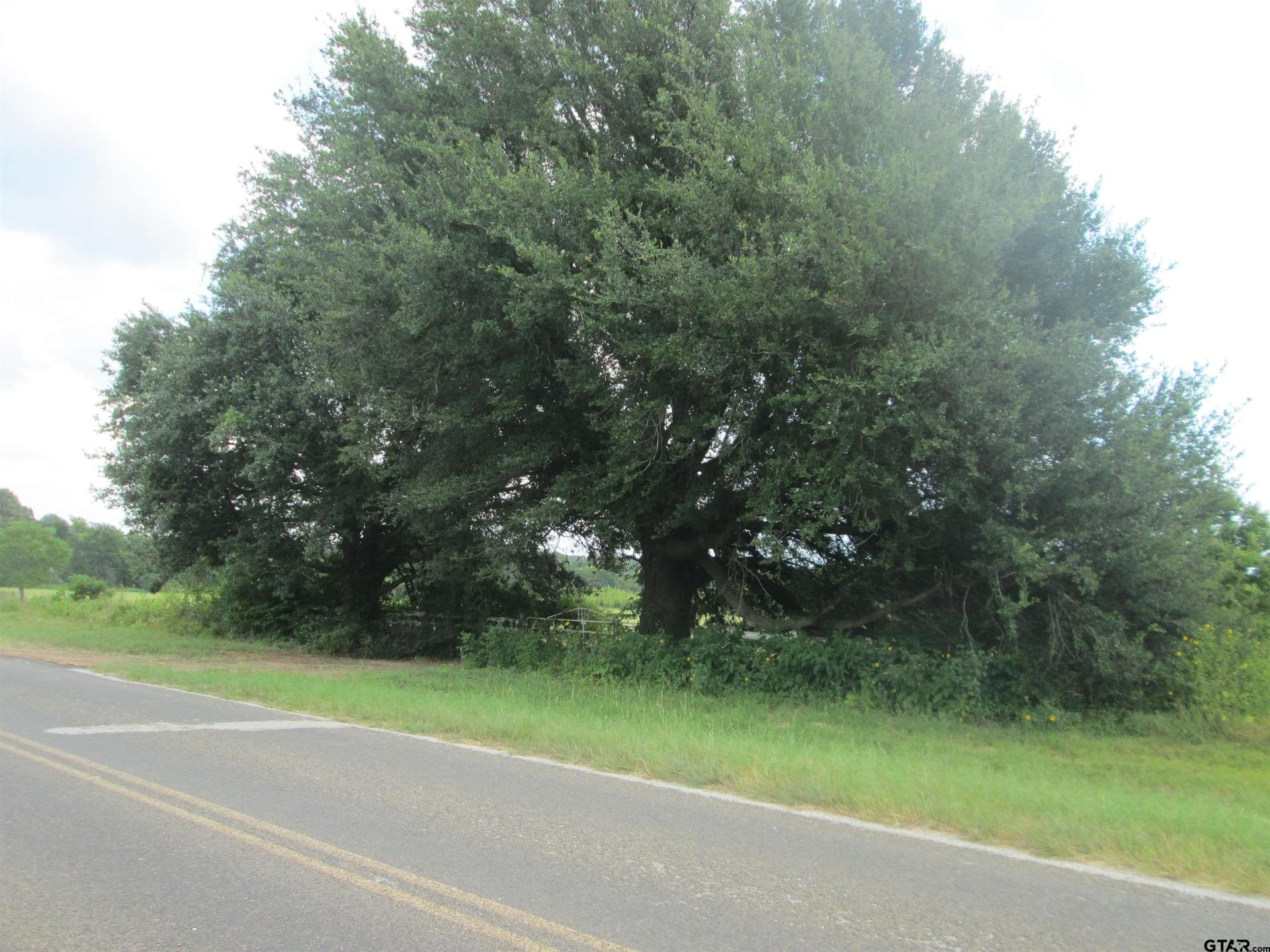 18.25 acres in Smith County - photo 8