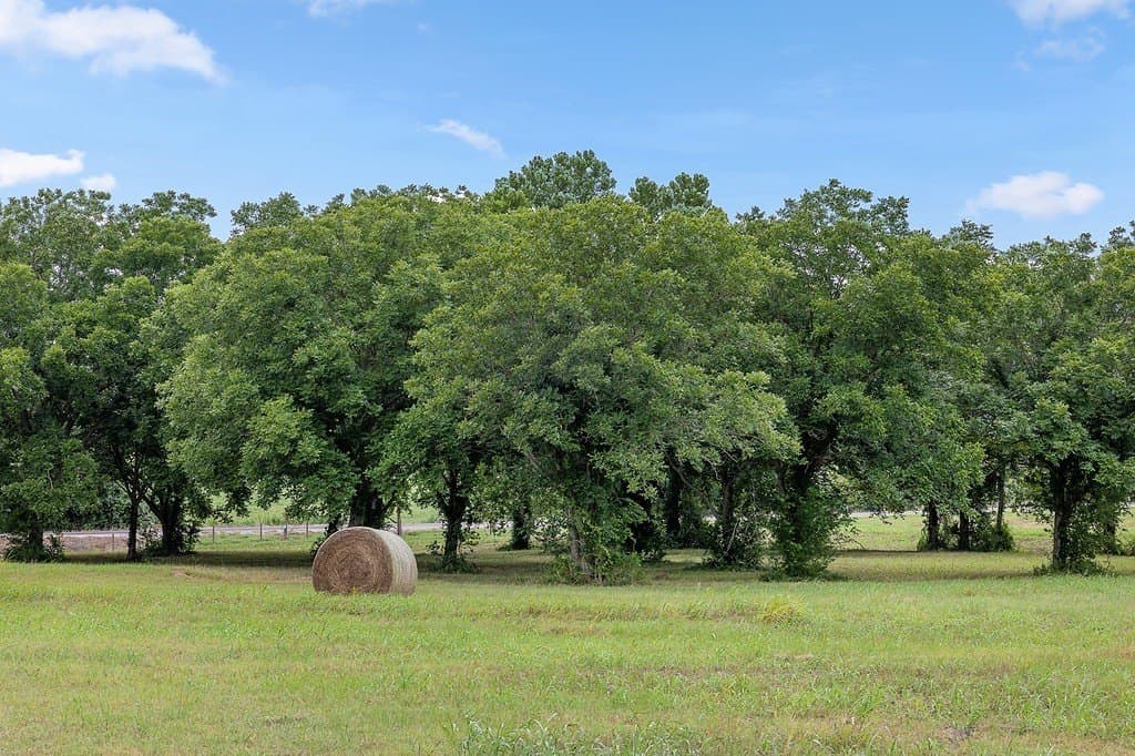 15 acres in Washington County - photo 2
