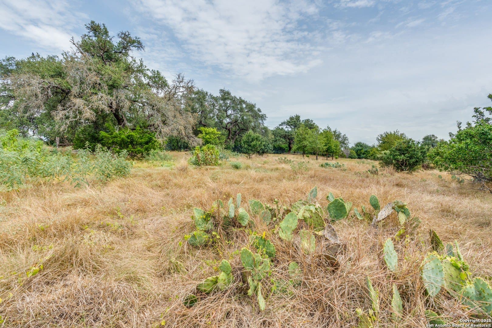 1.02 acres in Comal County - photo 7