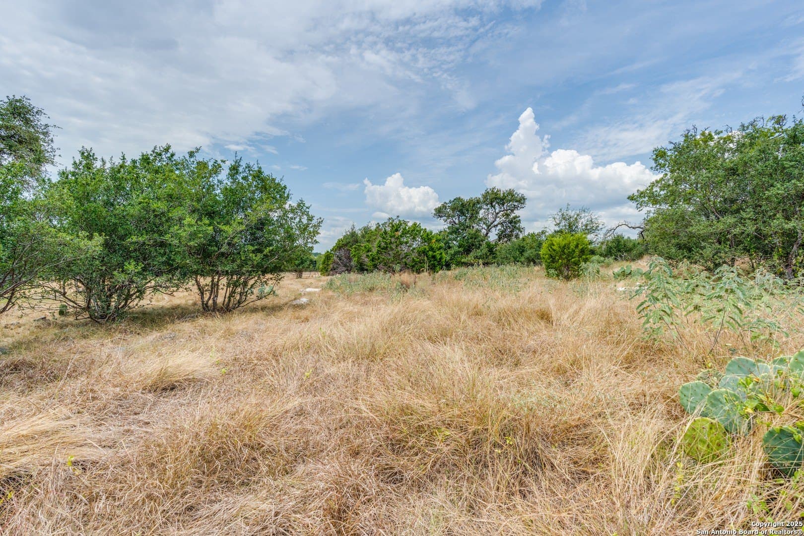 1.02 acres in Comal County - photo 9