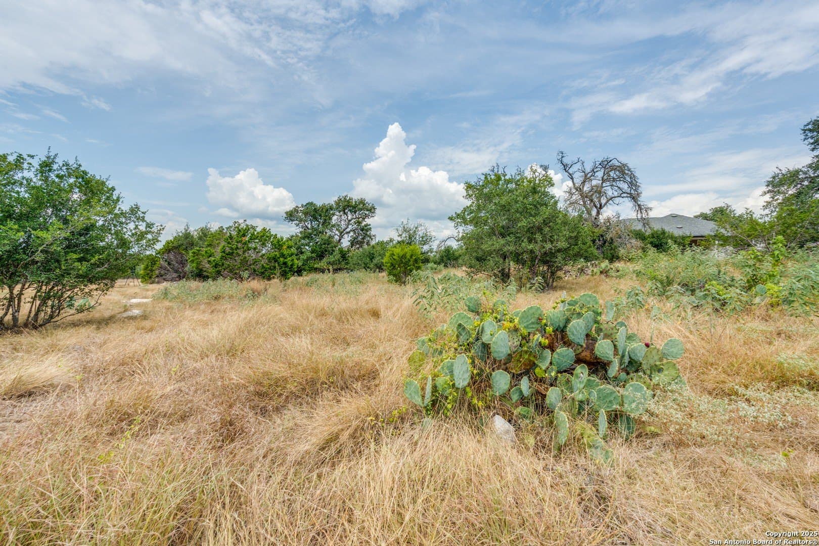 1.02 acres in Comal County - photo 8