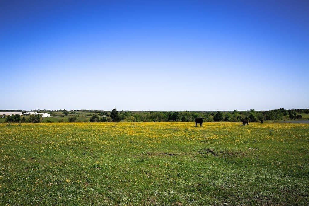 187.35 acres in Washington County - photo 12