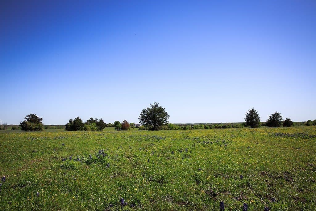 187.35 acres in Washington County - photo 17