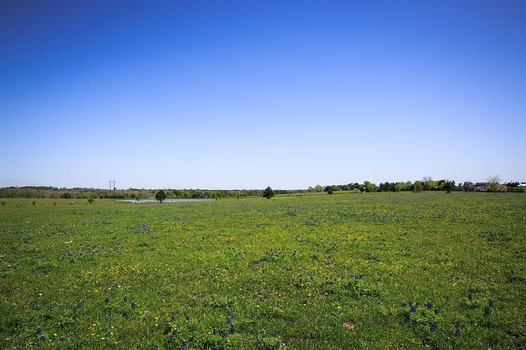 187.35 acres in Washington County - photo 20