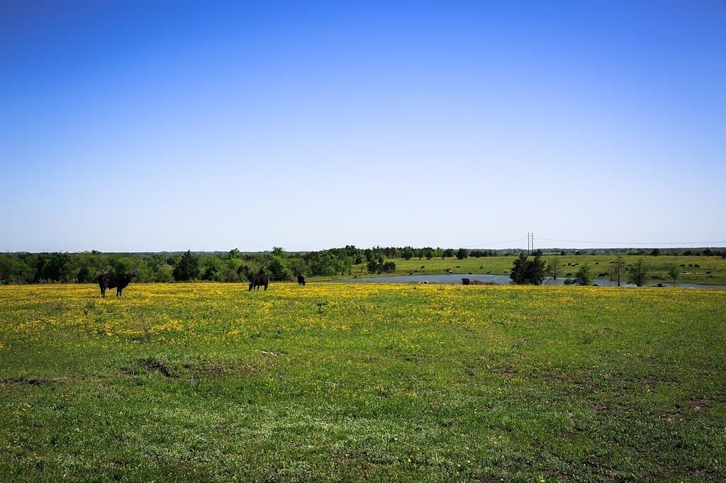 187.35 acres in Washington County - photo 14