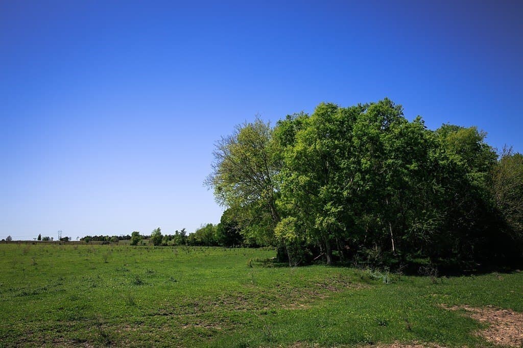 187.35 acres in Washington County - photo 19