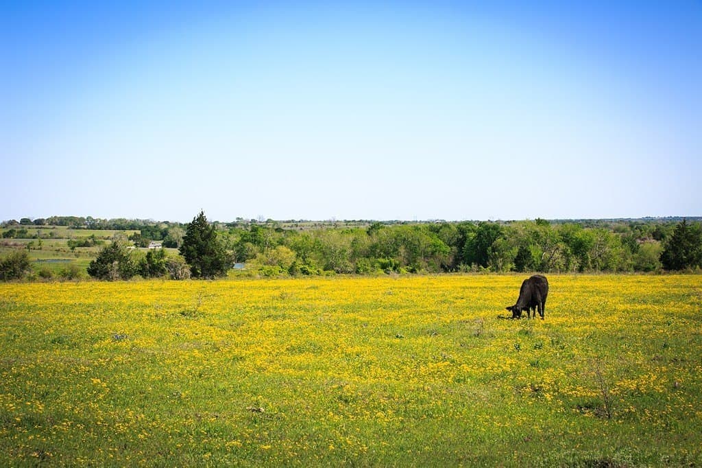 187.35 acres in Washington County - photo 10