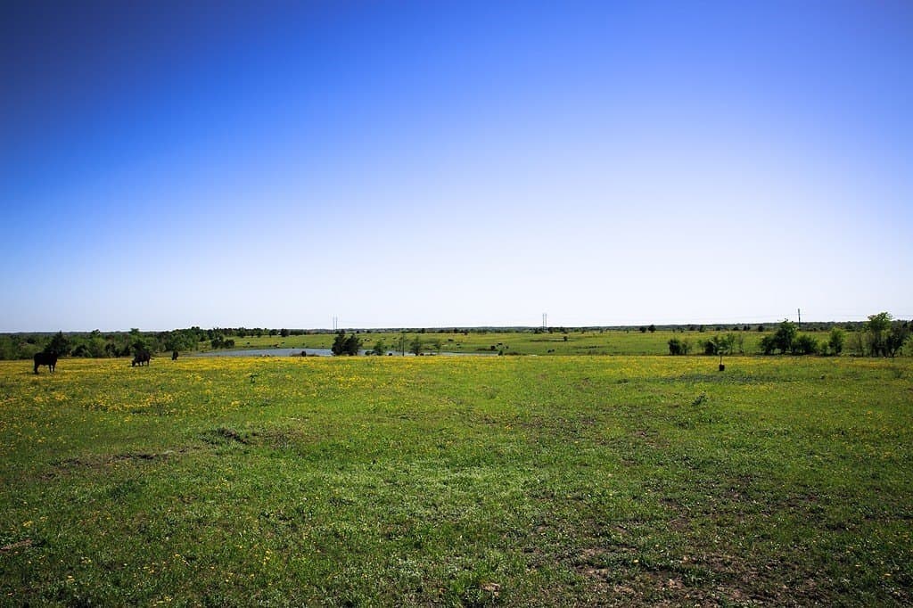 187.35 acres in Washington County - photo 11