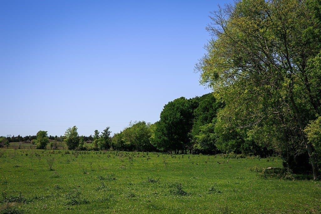 187.35 acres in Washington County - photo 5