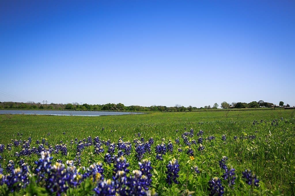 187.35 acres in Washington County - photo 3