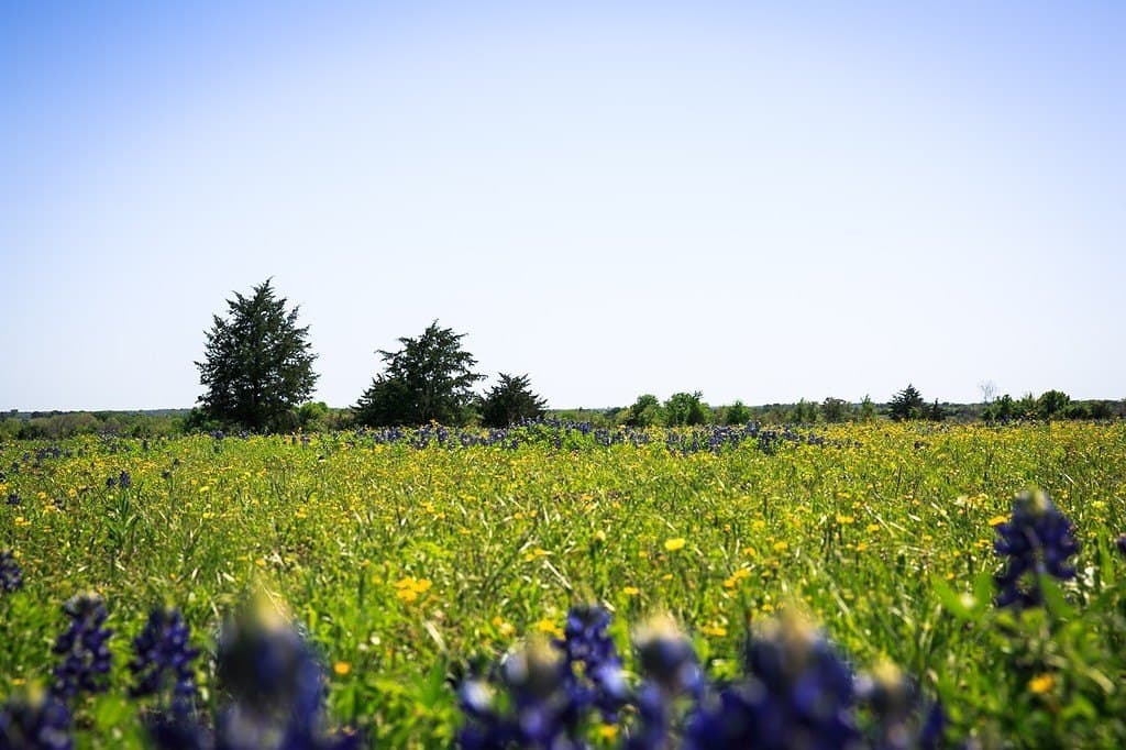 187.35 acres in Washington County - photo 7