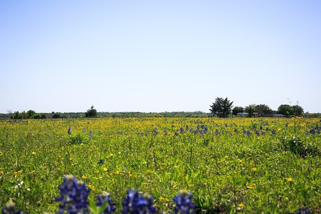 187.35 acres in Washington County - photo 8