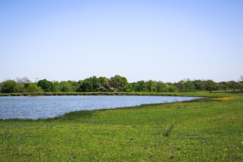 187.35 acres in Washington County - photo 4