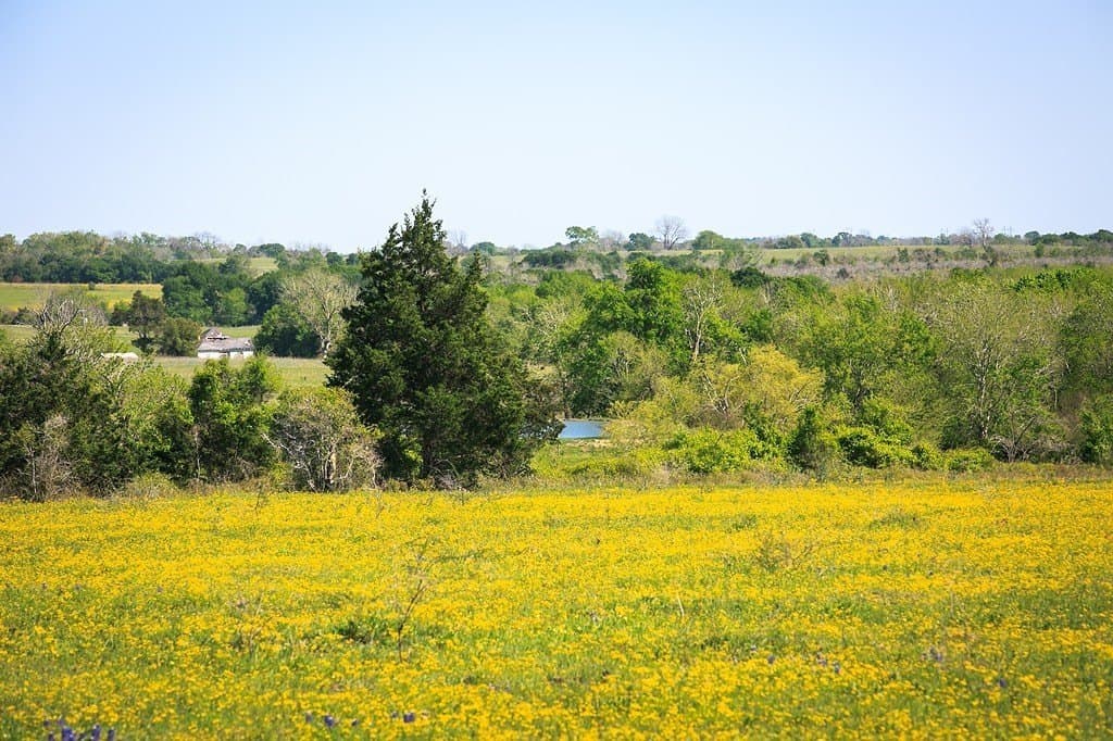 187.35 acres in Washington County - photo 6