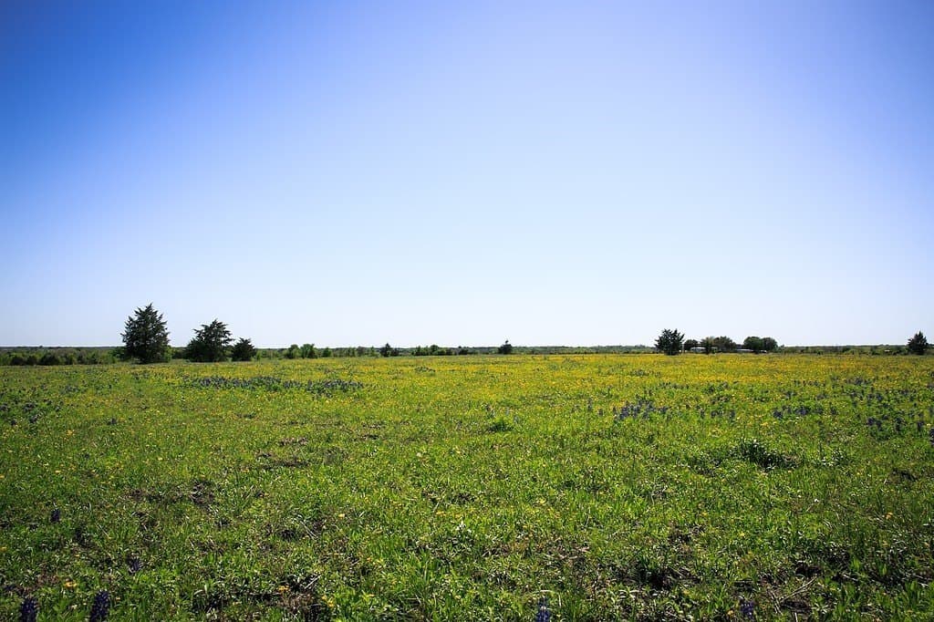 187.35 acres in Washington County - photo 16