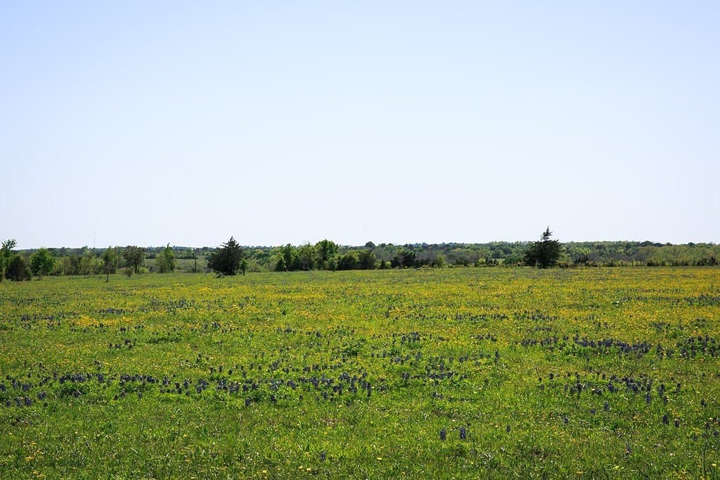 187.35 acres in Washington County - photo 18