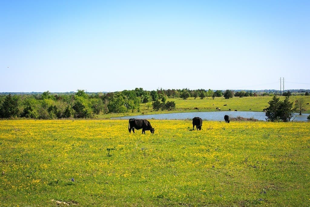 187.35 acres in Washington County - photo 9